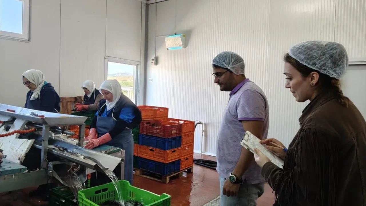 Beyşehir Gölüne kıyısı olan ilçedeki balık fabrikaları denetlendi