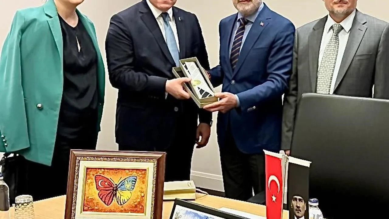 Başdanışman Topçu, Hindistan-Pakistan gerginliğini kınadı: "Hindistan’ın Pakistan’a yaptığı bu kışkırtıcı saldırısını kınıyoruz"