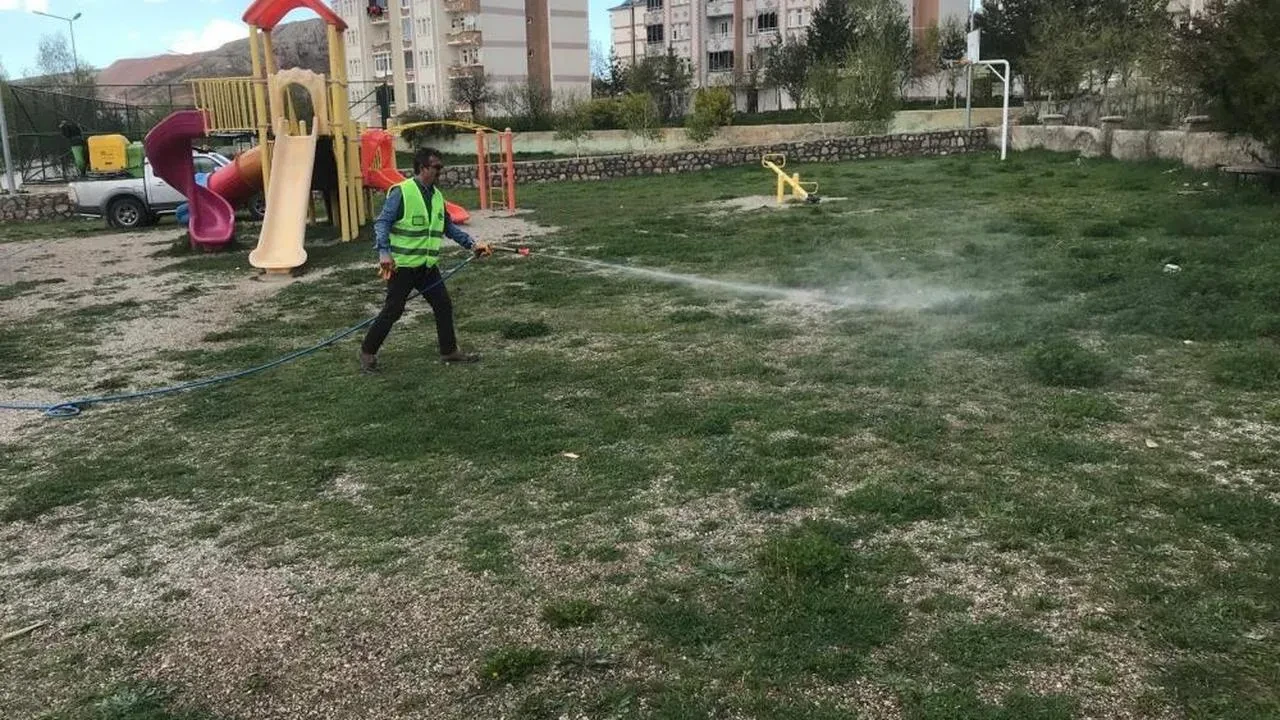 Bayburt'ta sivrisineklerle savaş başlıyor: İlaçlama çalışmaları aralıksız devam edecek