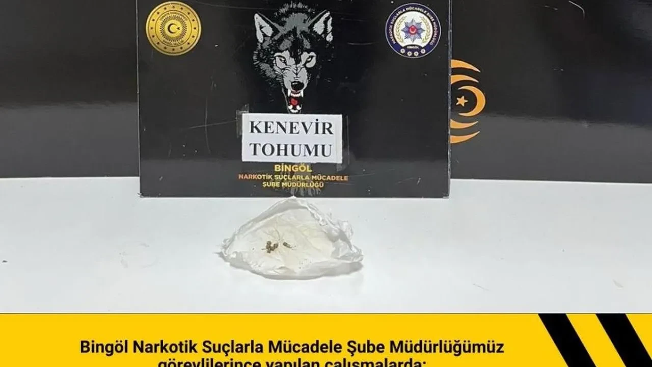 Bingöl'de asayiş uygulamaları: 2 bıçak ile hint keneviri tohumu ele geçirildi