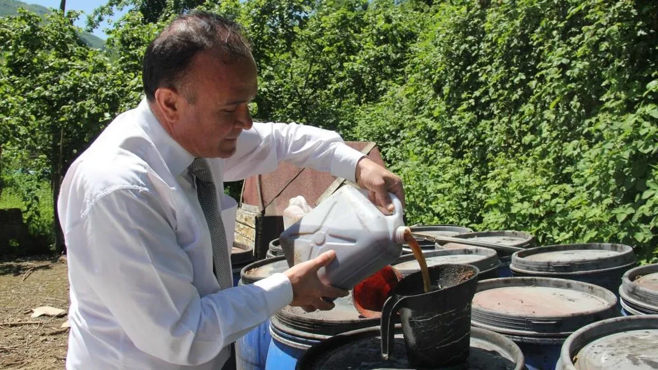 Giresun'da sıvı balık gübresi ile kokarca sorununa çözüm