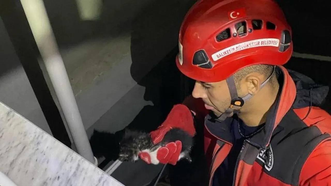 Balıkesir'de yavru kedi kurtarma operasyonu: İtfaiye ekiplerine teşekkürler