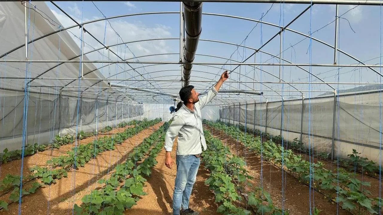 Derecik’te şiddetli fırtına: Seralarda maddi hasar oluştu