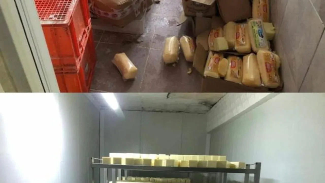 Sakarya’da 1,5 milyonluk sahte kaşar peyniri operasyonu: İşletme camlarını karartıp üretimi gizlemeye çalıştılar