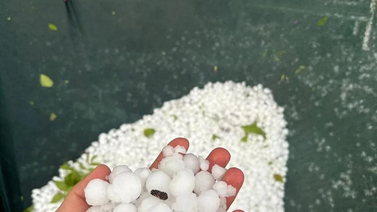 Elazığ yüksek kesimlerde şiddetli dolu tarımı vurdu