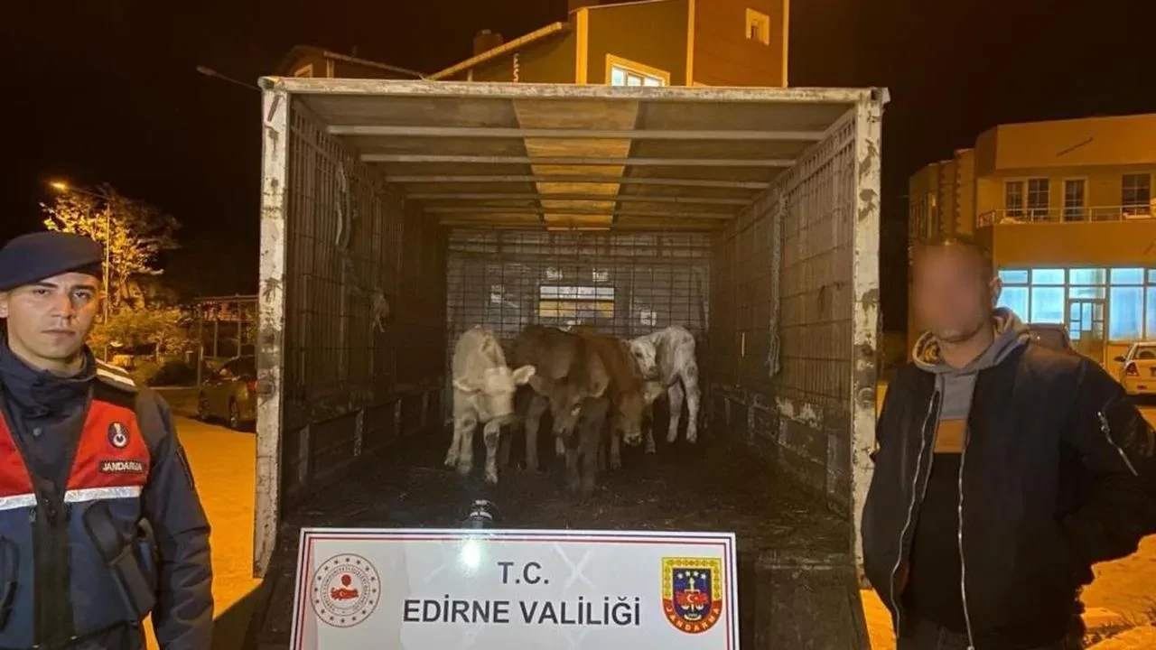 Enez'de ağıldan hayvan çalan şüpheliler yakalandı: 6 adet hayvan sahibine teslim edildi
