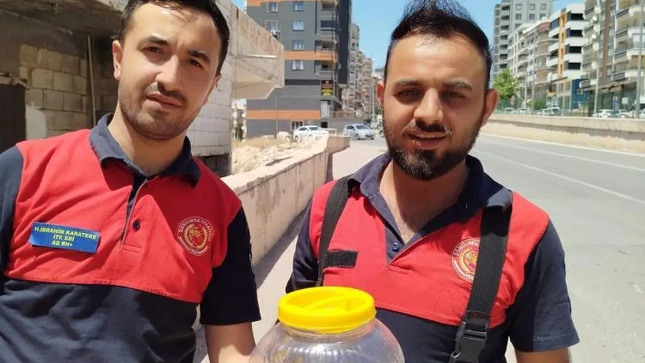 Şanlıurfa'da mutfakta görülen yılan korkuttu