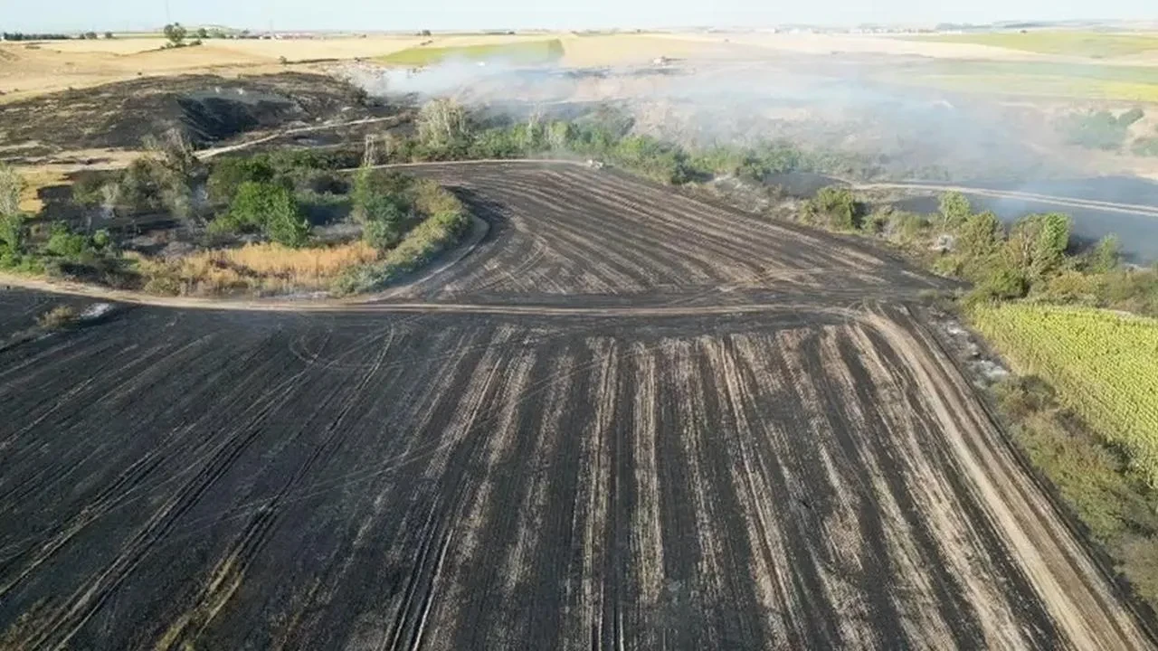 Tekirdağ Hayrabolu tarım arazileri büyük yangında yandı