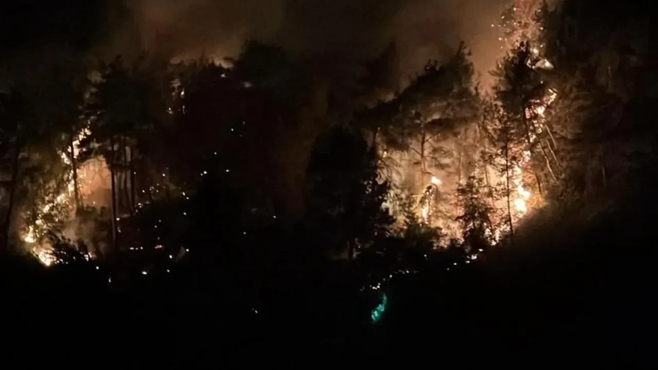 Adana Kozan İmamoğlu orman yangını kısa sürede söndürüldü