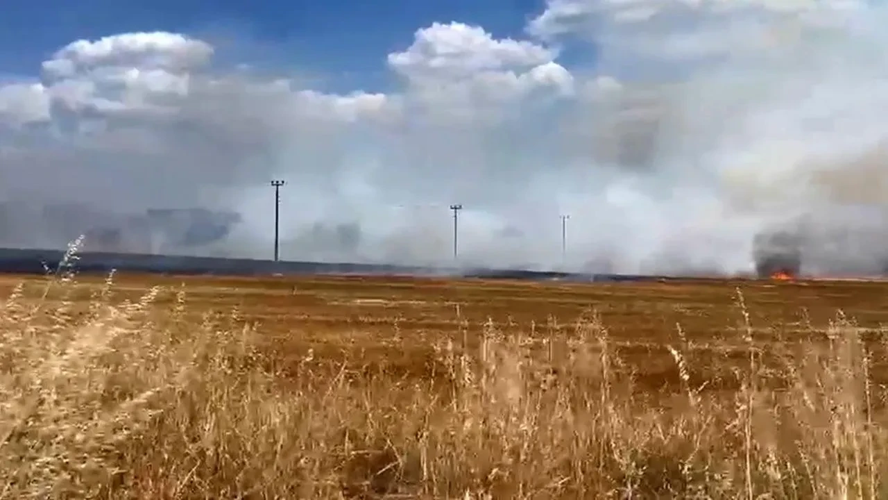 Tekirdağ Marmaraereğlisi mahalle sakinleri anız yangınını söndürdü