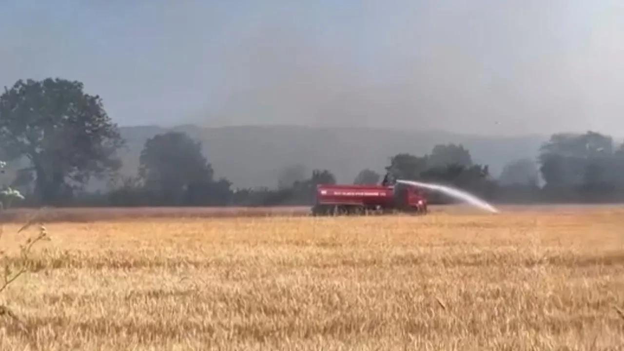 Düzce Kadıoğlu köyünde anız yangını kontrol altına alındı