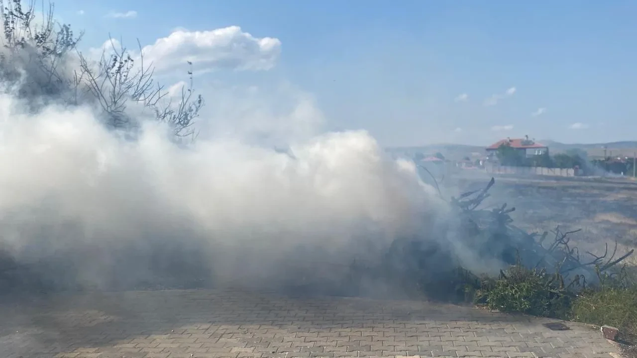 Çorumun Alaca ilçesinde 5 ton odun yandı