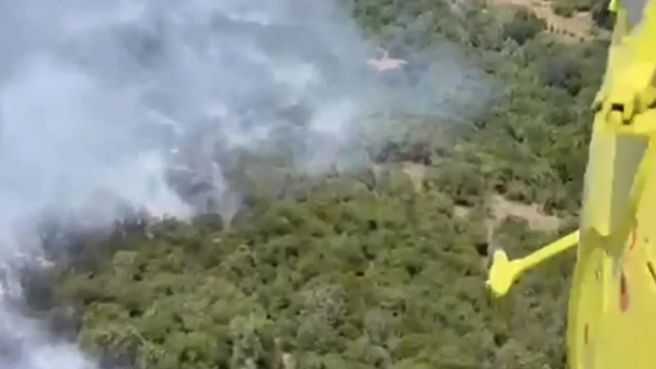Balıkesir İvrindi orman yangınına havadan müdahale edildi