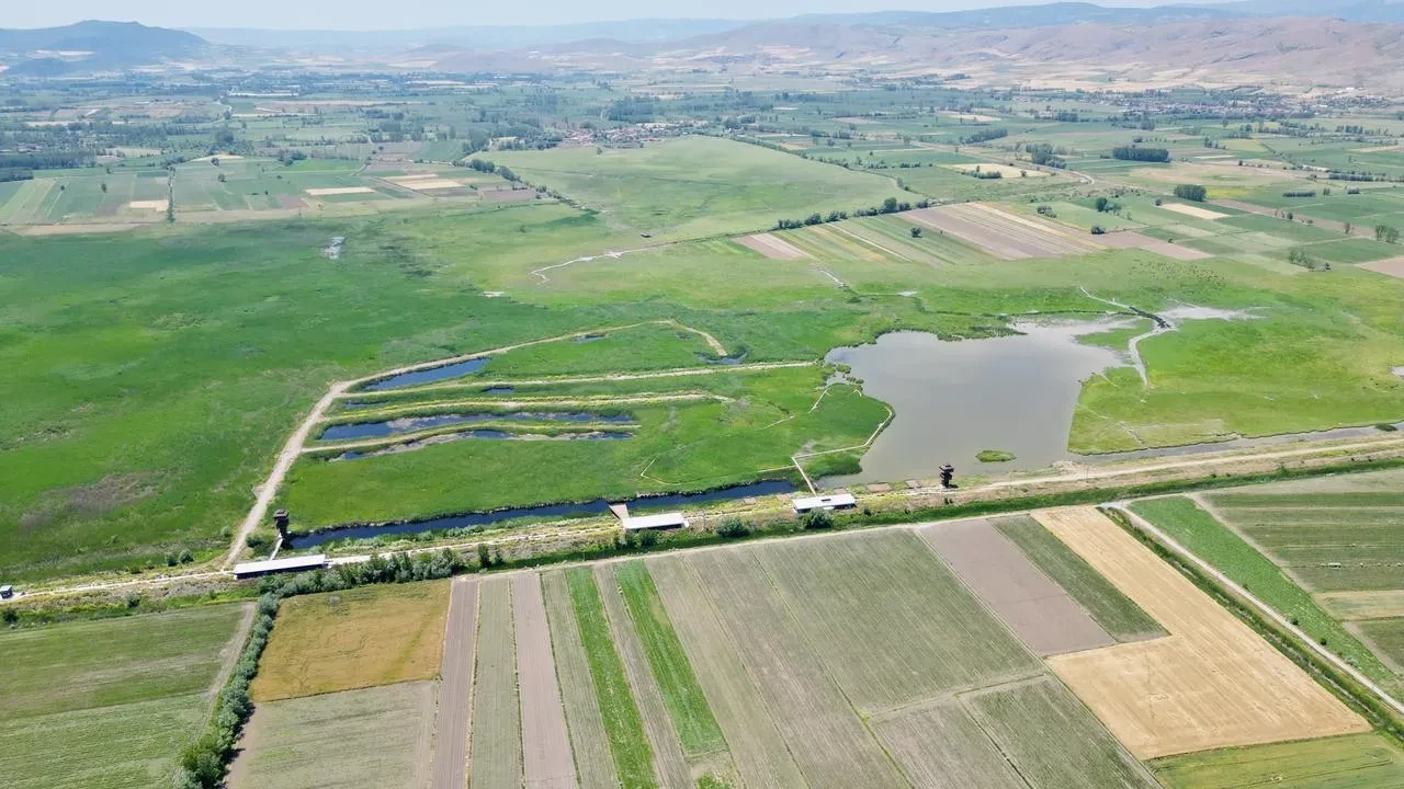 Kaz Gölü düğün fotoğrafları için doğal stüdyoya dönüştü