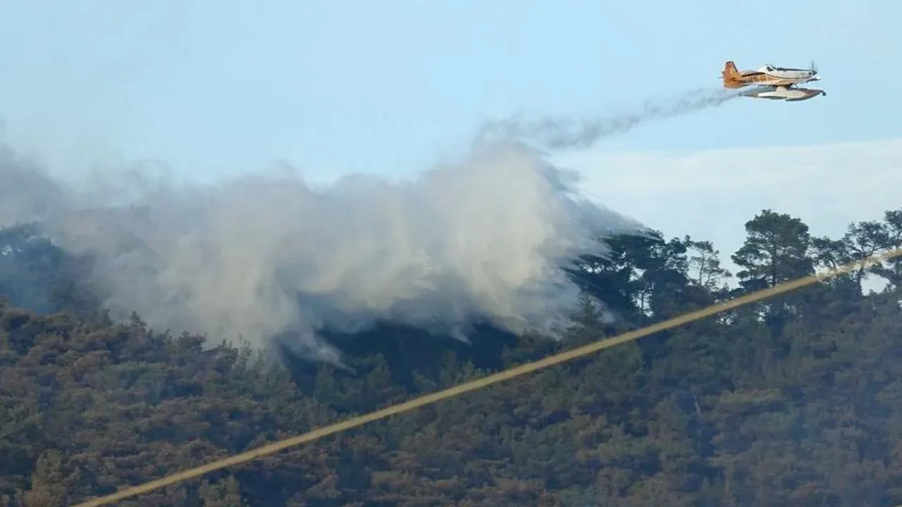Havran ve Halılar Mahallesindeki orman yangını söndürülüyor
