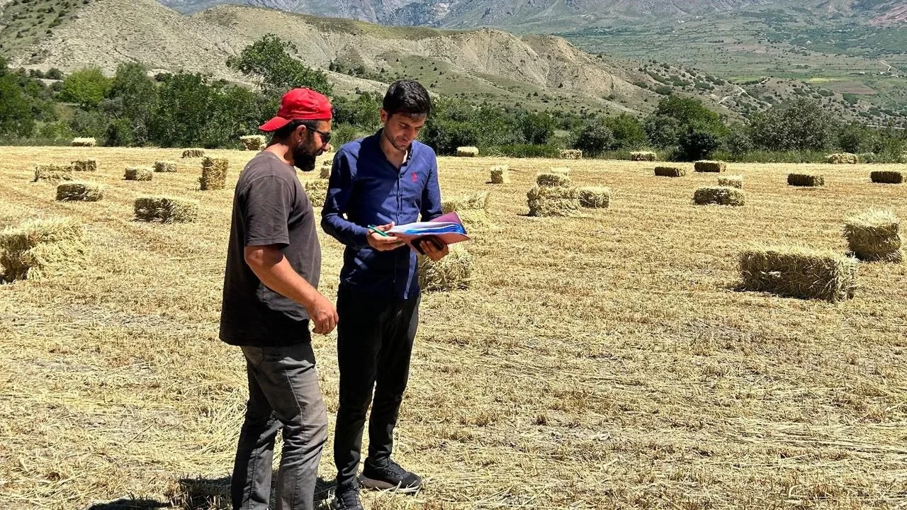 Erzincan yem bitkisi üretimi sahada kontrol edildi