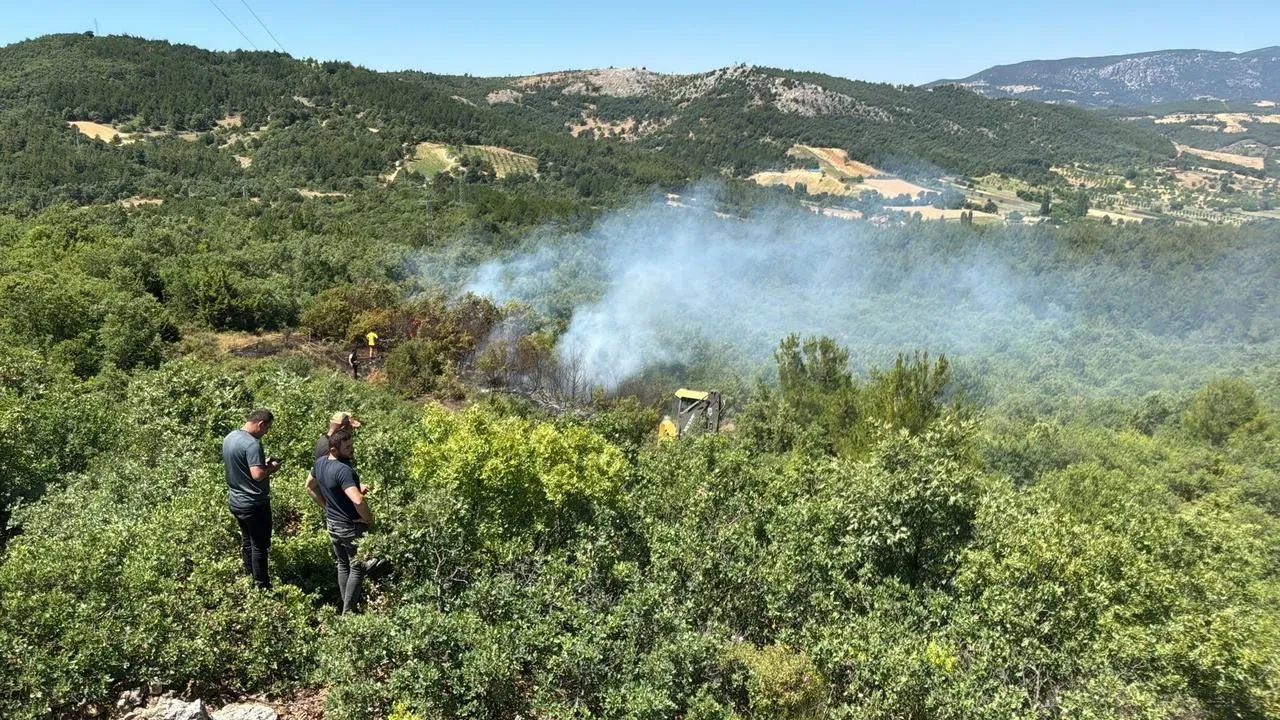 Manisa Gördes orman yangını hızlı müdahaleyle söndürüldü