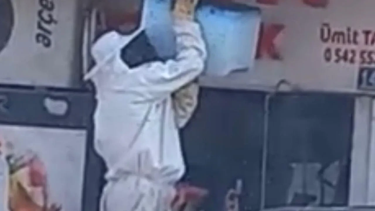 Karapınar çarşısında arı sürüsü esnafı korkuttu