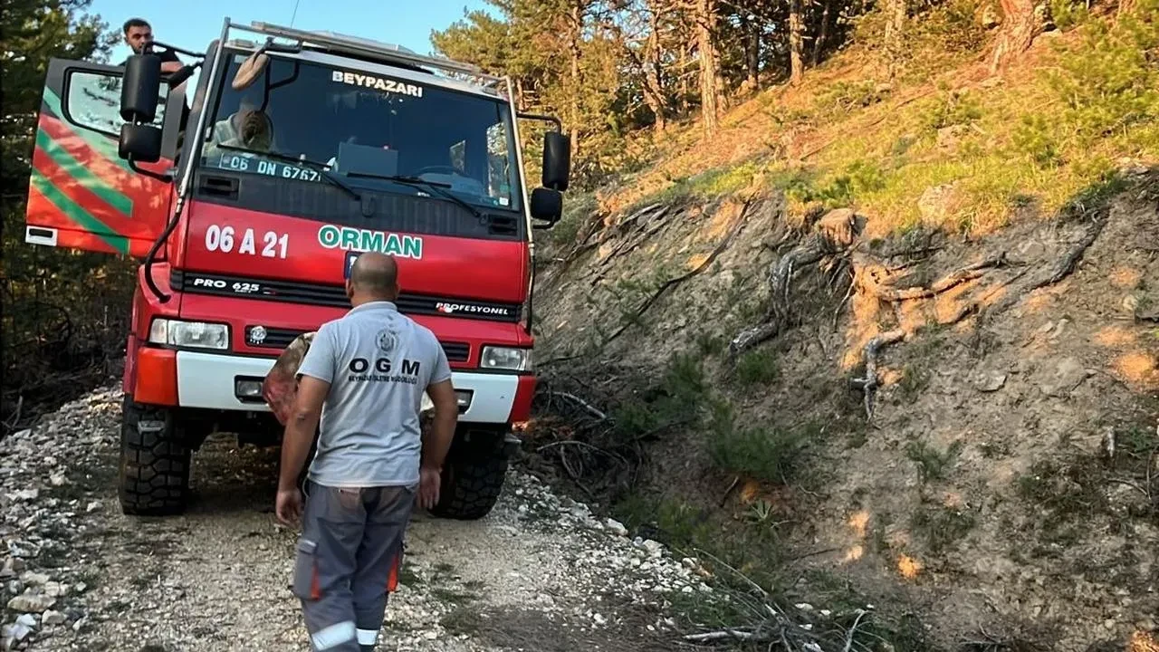 Beypazarı orman yangını halk desteğiyle söndürüldü