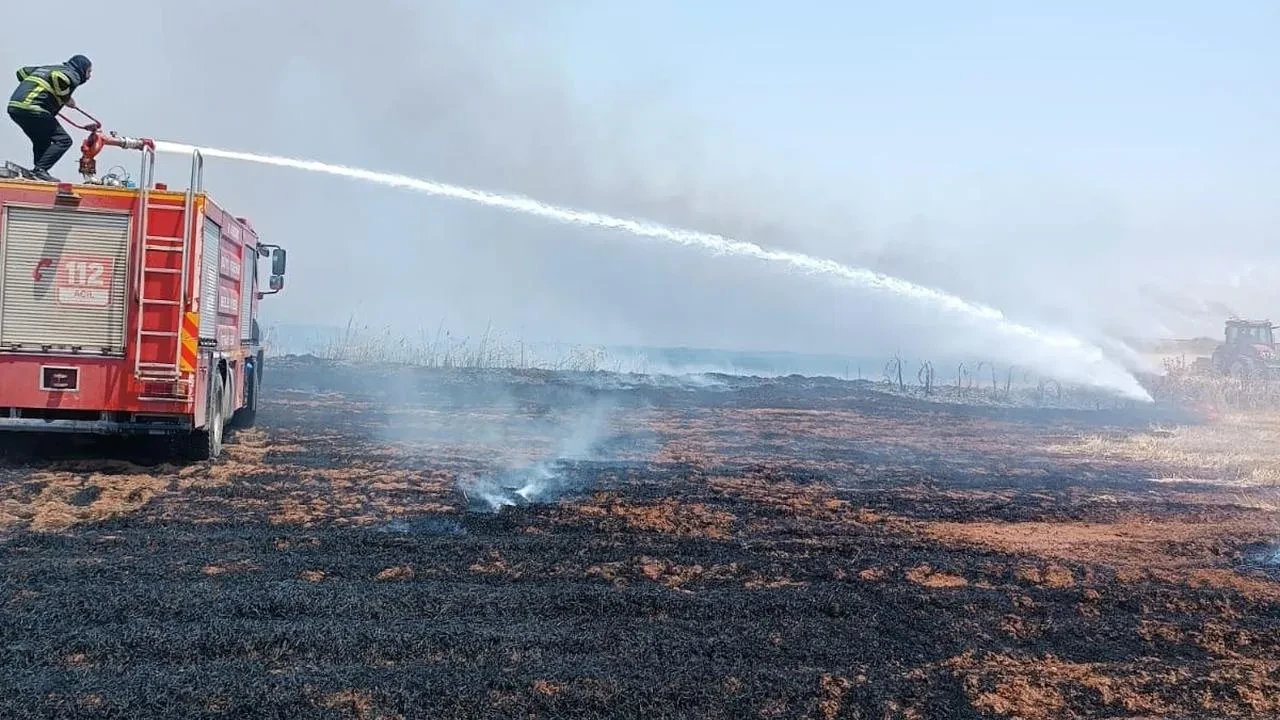 Mardin Kızıltepe ve Savur yangınları kontrol altına alındı