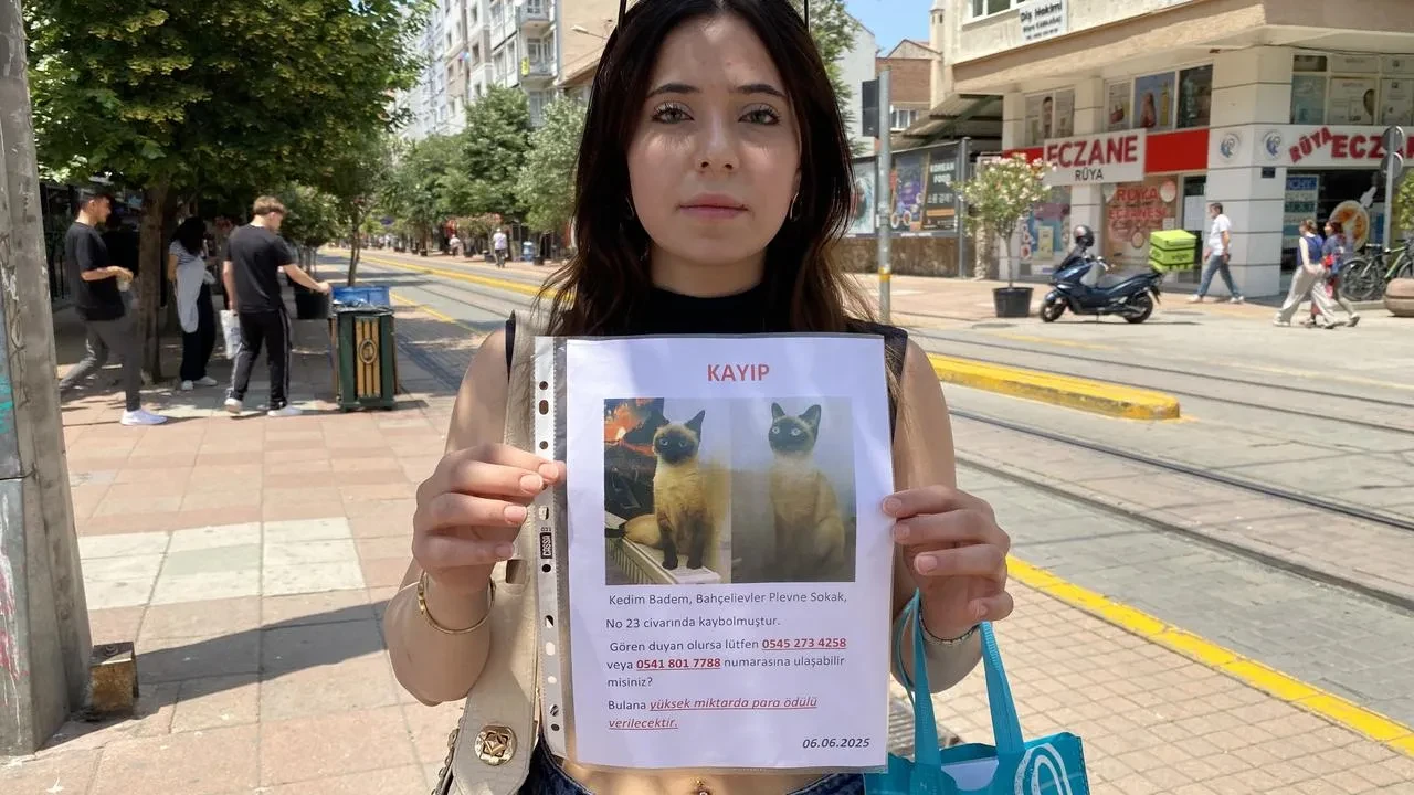 Bayramda Eskişehirli Burcu Dincay kedisi Bademi arıyor