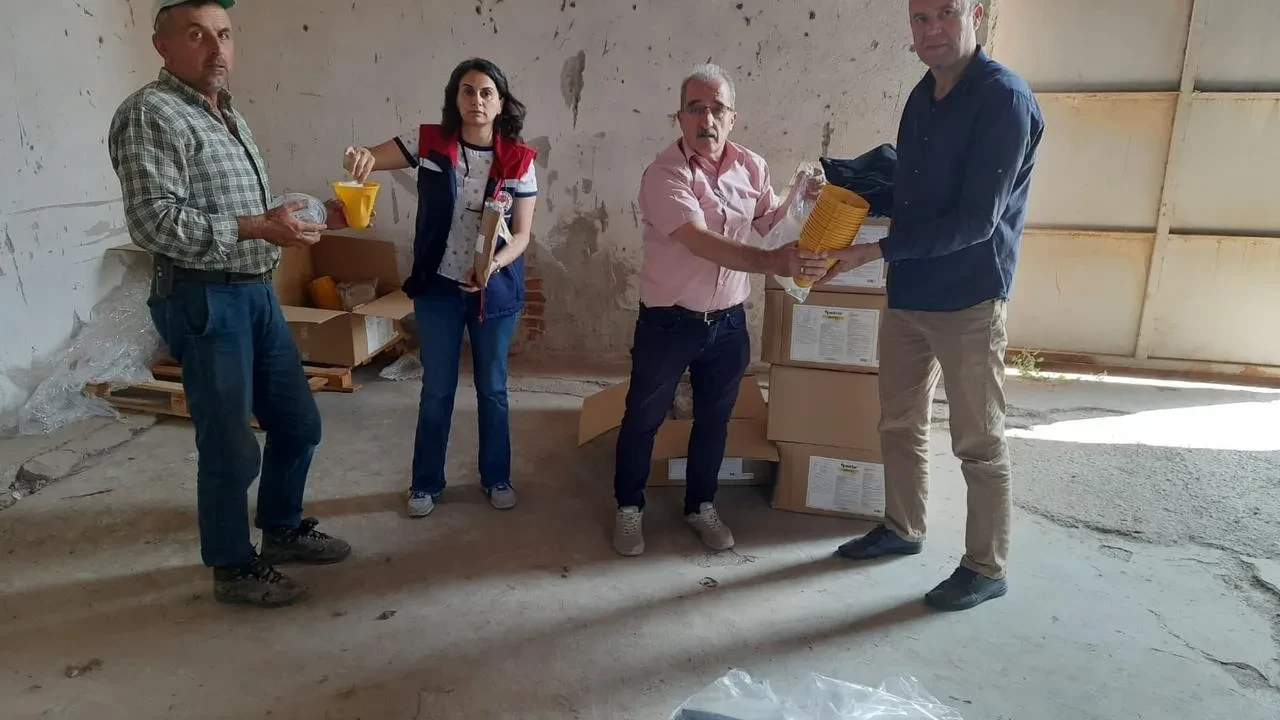 Nazilli çiftçileri Akdeniz meyve sineğine karşı güçlendi