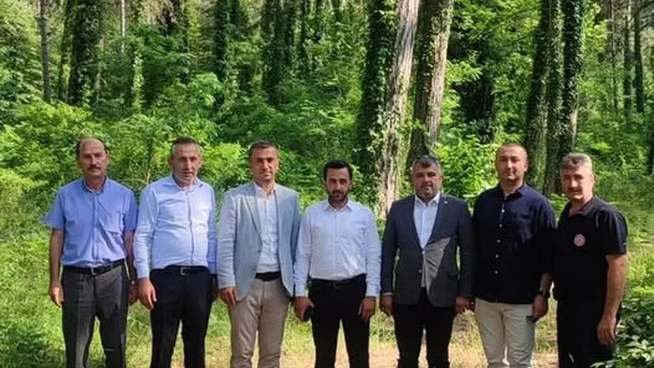 Yenice Süheyla Çamlığına modern gençlik kampı kuruluyor