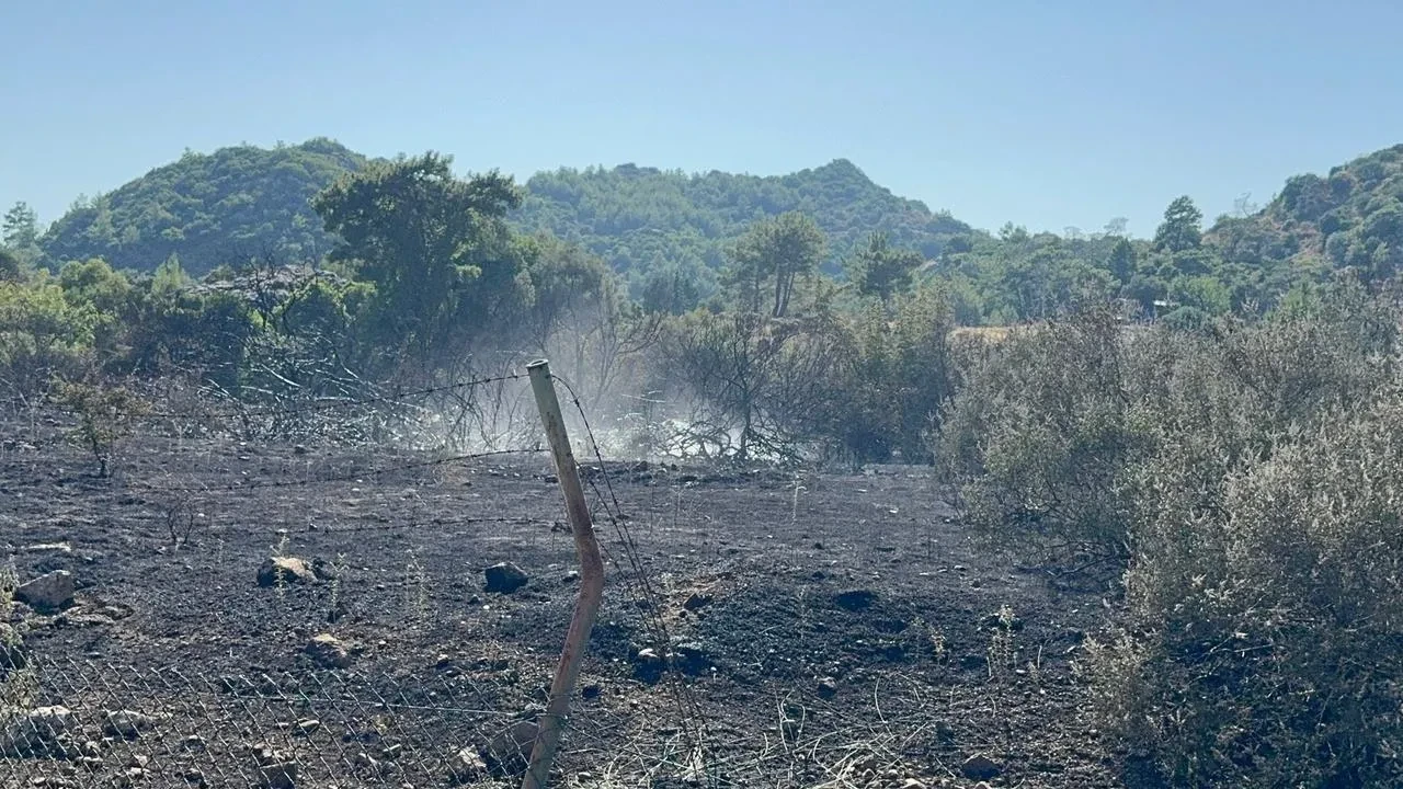 Tekneden atılan işaret fişeği Marmariste yangına neden oldu