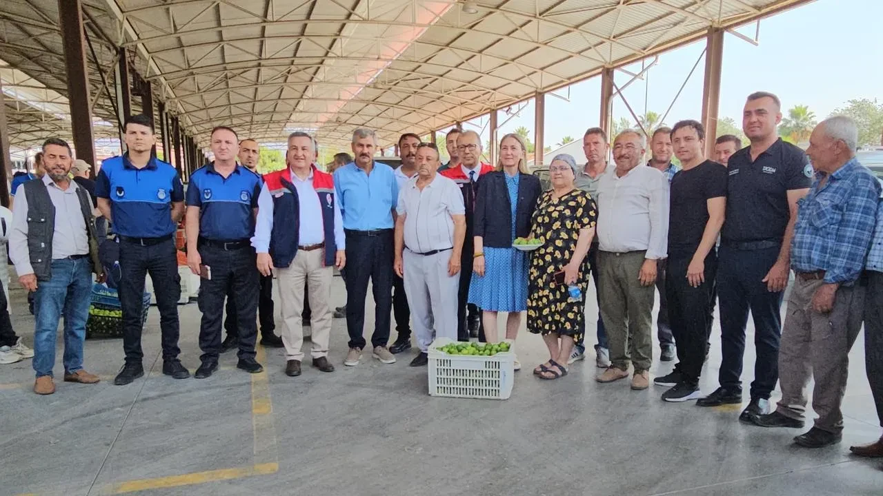 Nazilli ilek pazarında kaliteli incir üretimi başlıyor