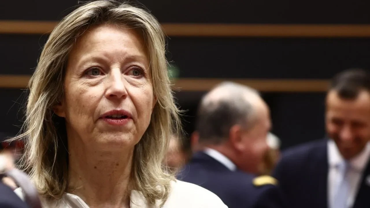 AB İnsan Hakları Temsilcisi Kajsa Ollengren göreve başladı