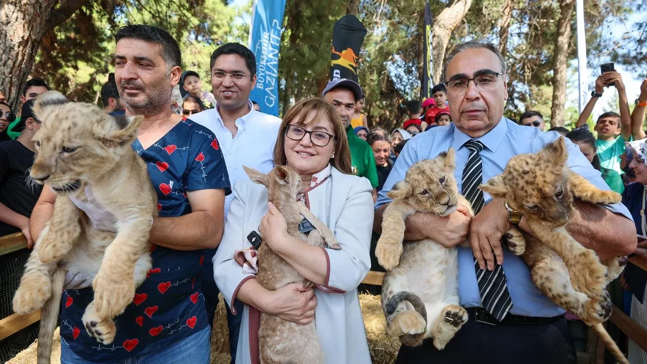 Sudandan gelen aslan çifti Gaziantepte üçüz doğurdu