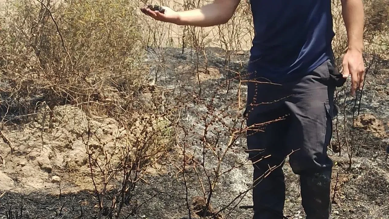 Hataylı itfaiyeciler yavru serçeyi alevlerden kurtardı