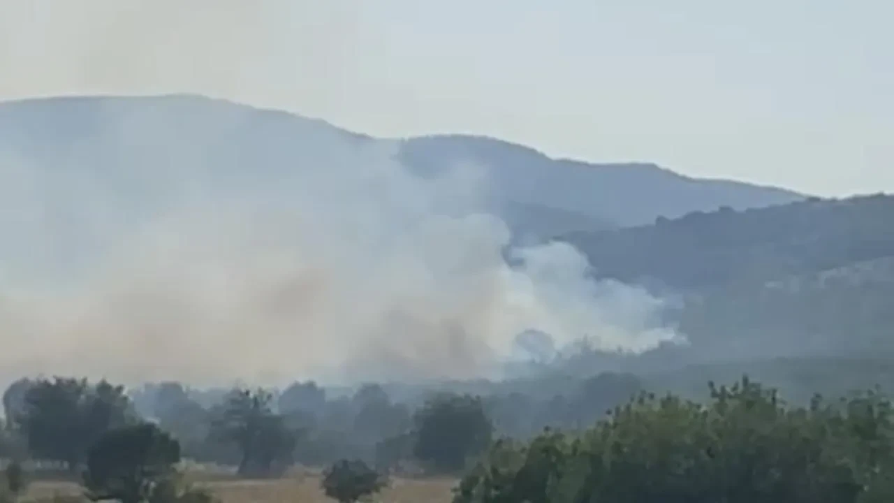 Balıkesir Sındırgı meralık alanda yangın söndürülüyor