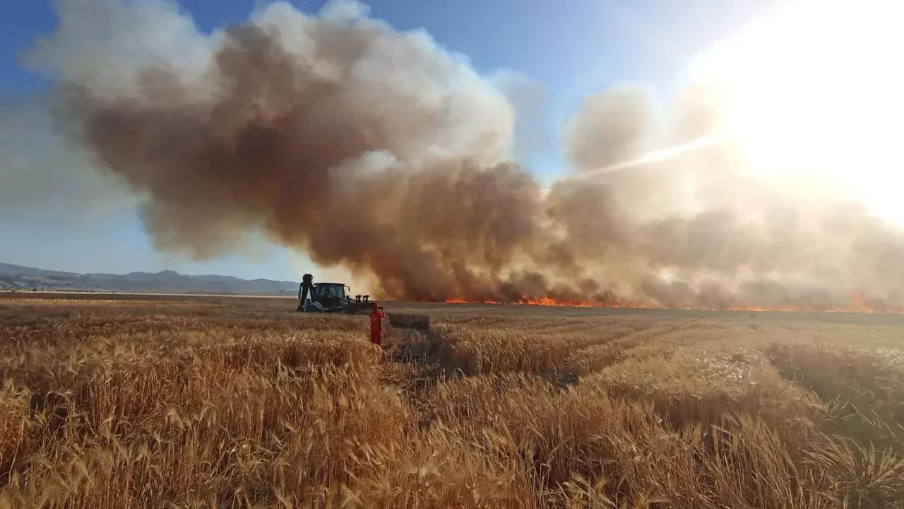 Bingöl Genç ilçesinde buğday tarlaları yanarak yok oldu