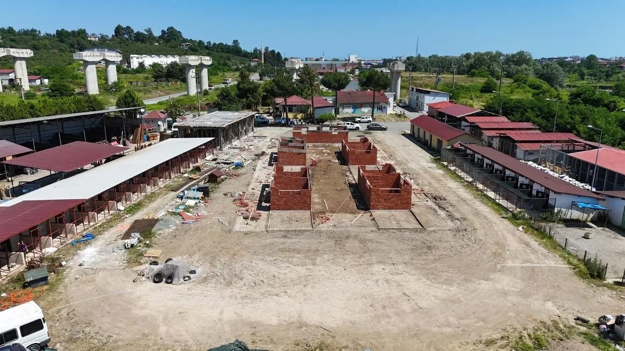 Ordu Belediyesi sokak hayvanlarına modern yuva yapıyor