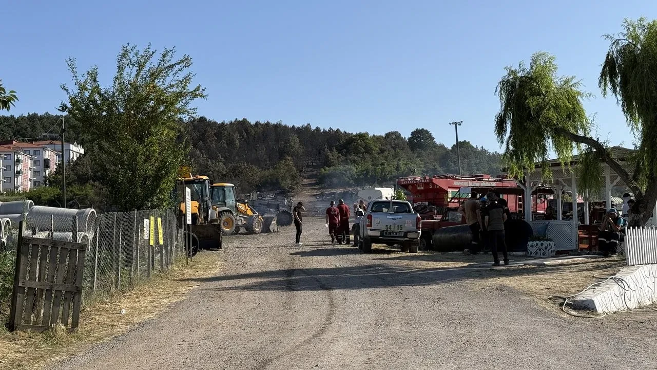 Sakarya Söğütlü orman yangını 4 saatte söndürüldü
