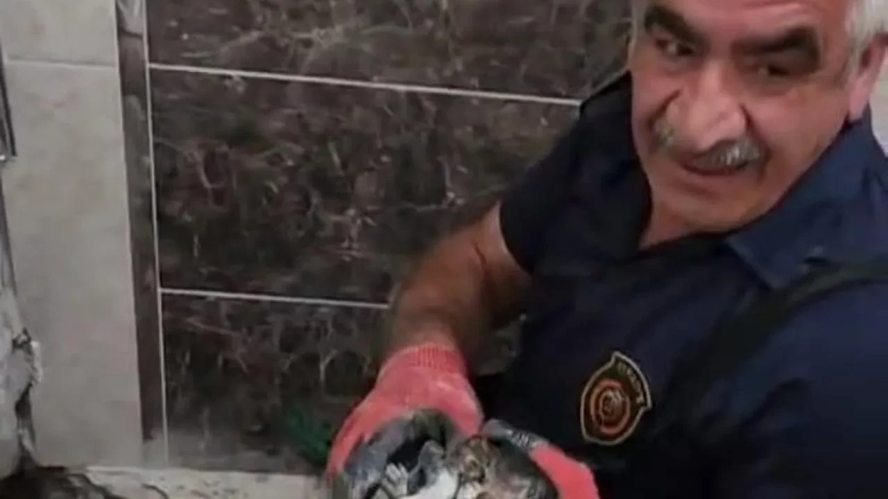 Malatya itfaiyesi atık borudaki yavru kediyi kurtardı