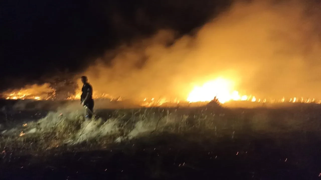 Malatya Akçadağda sazlık yangını kayısı ağaçlarını yaktı