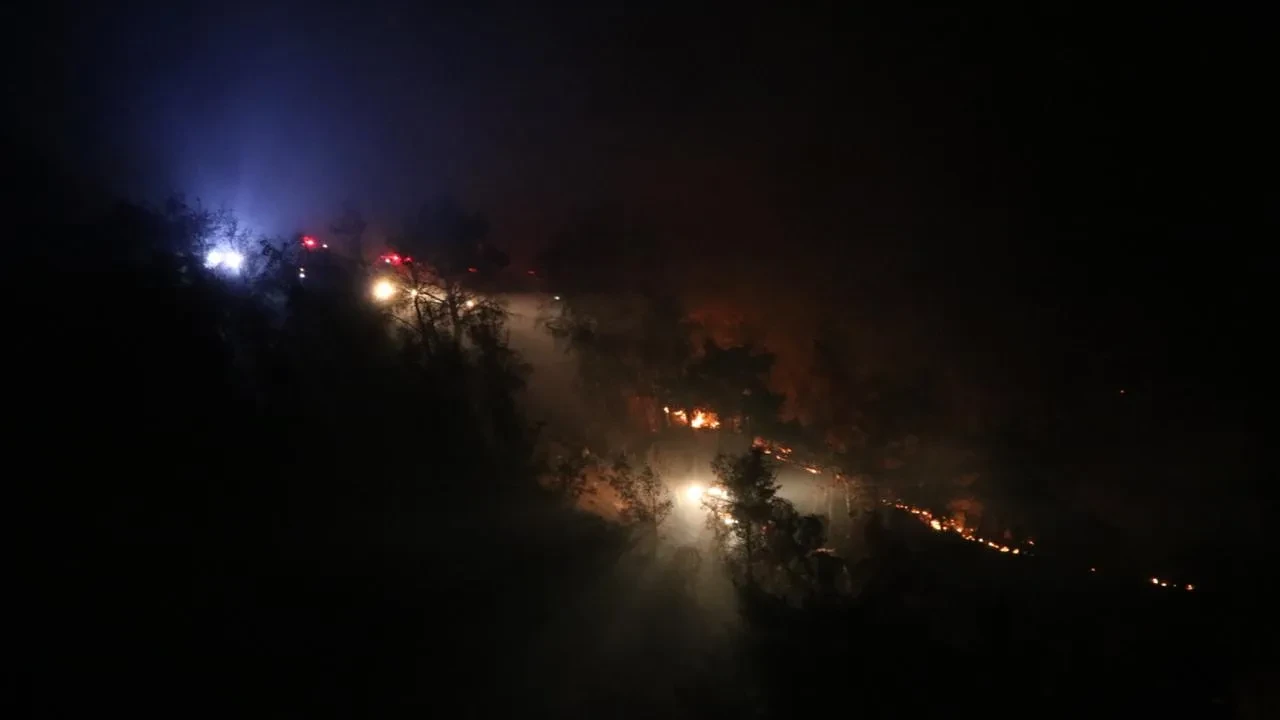 Çanakkale Ayvacıkta 10 hektarlık tarım arazisi yandı