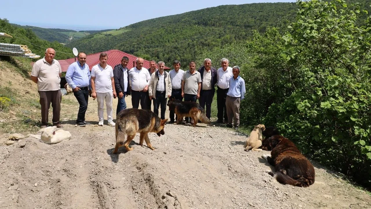 Bafra muhtarları köpek barınağına karşı ayaklandı