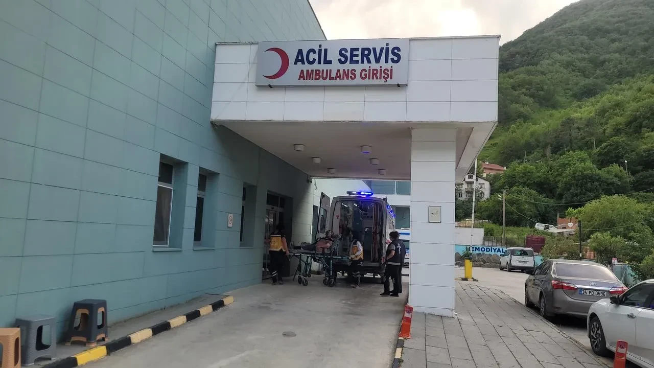 Kastamonuda yaşlı kadını bahçede akrep soktu