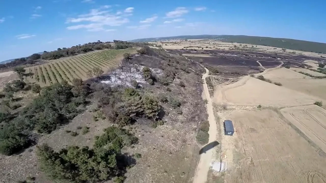 Keşan Mecidiye köyünde yanan buğday tarlası görüntülendi
