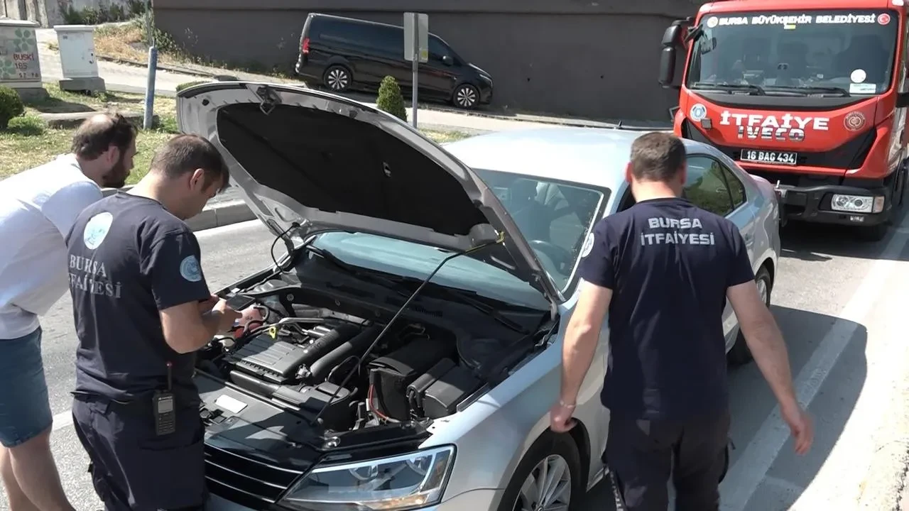 Bursada yavru kedi trafik ışıklarında macera yaşadı