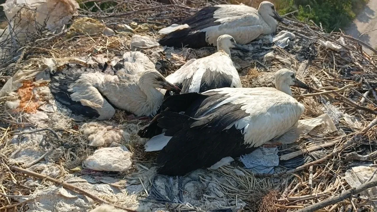 Aydın Büyükşehir Belediyesi LGS öğrencilerine destek verdi
