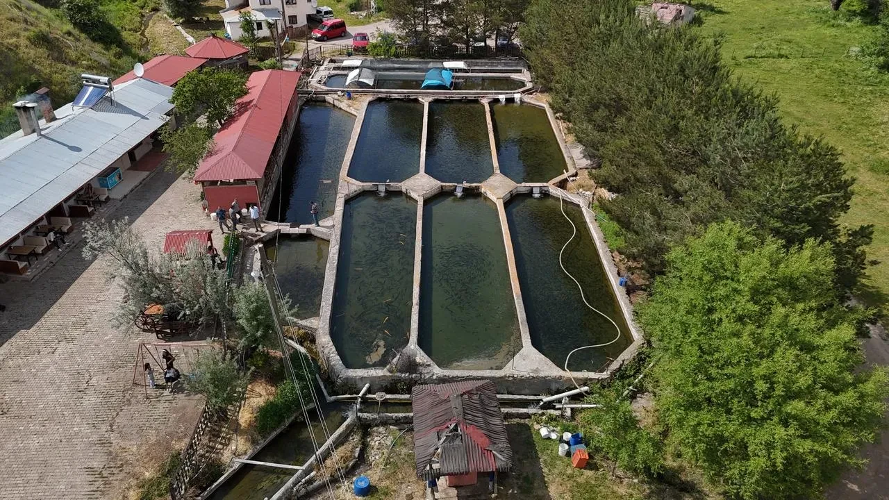 Sivas alabalıkları Avrupa sofralarını fethediyor