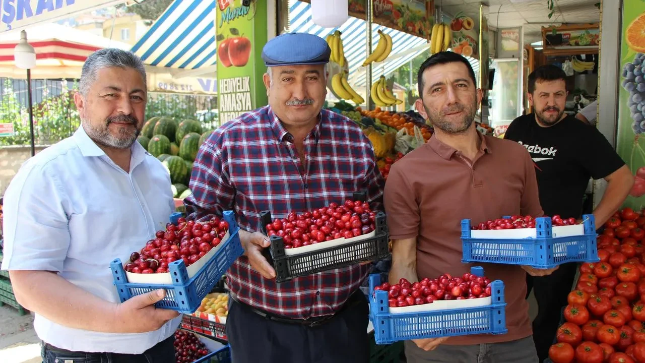 Amasyadaki 60 yıllık kiraz yarışması ilk kez iptal edildi