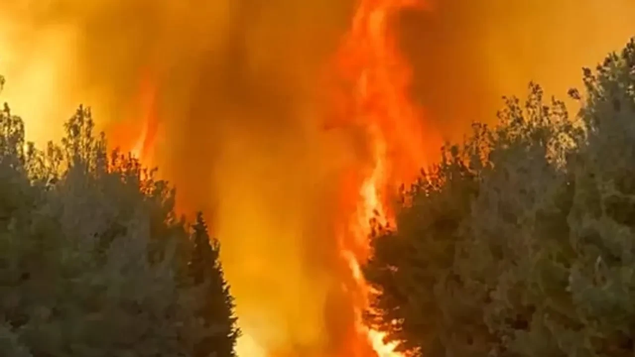 Foça ve Aliağa orman yangını evleri tehdit ediyor