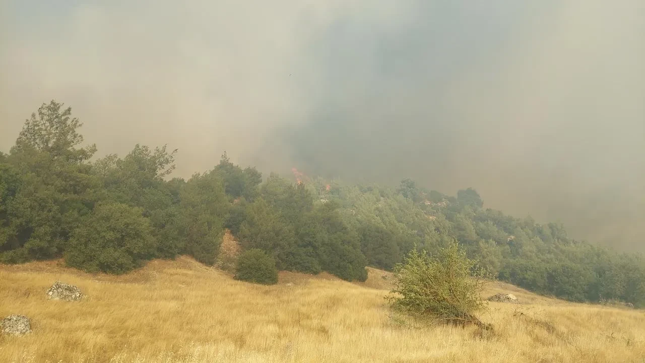 Manisa Kula orman yangınına tüm ekipler müdahale ediyor