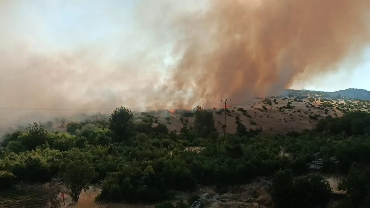 Diyarbakır Dicle ilçesindeki örtü yangını kontrol altına alınıyor