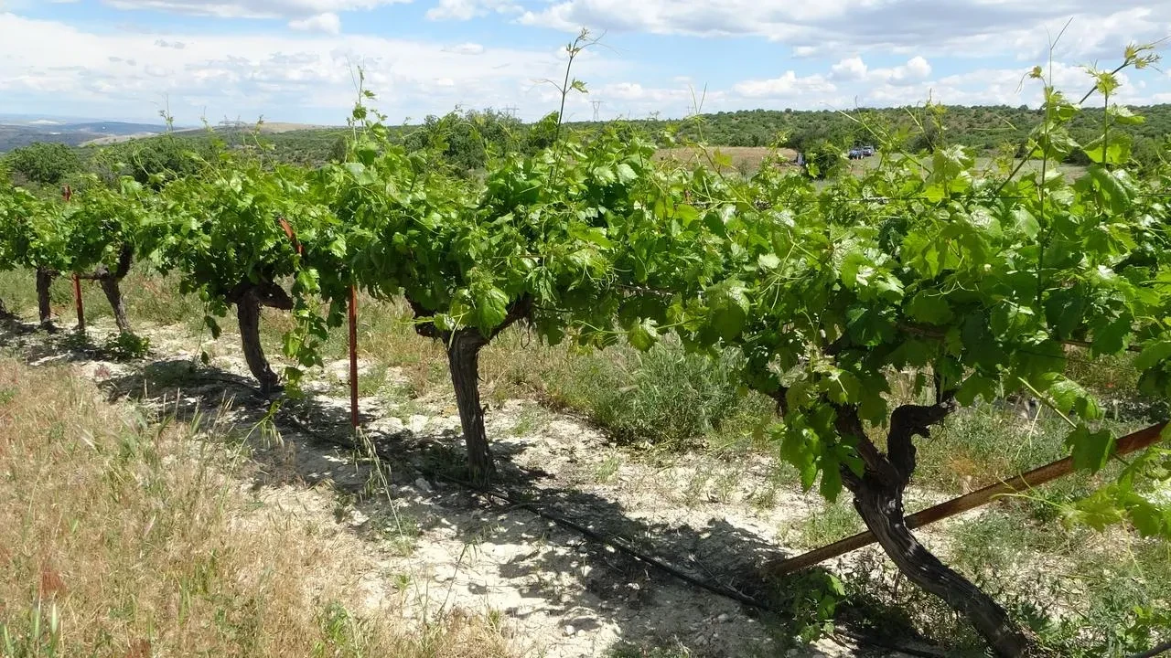 Alacakapı Mahallesi dev yeşil parka kavuşuyor